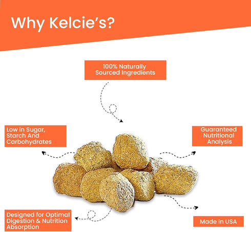 5 (1 Pack) Kelcies Pumpkin Spice Horses Treats - Low Sugar, Starch, and Carbohydrates | Healthy Treats for Horse