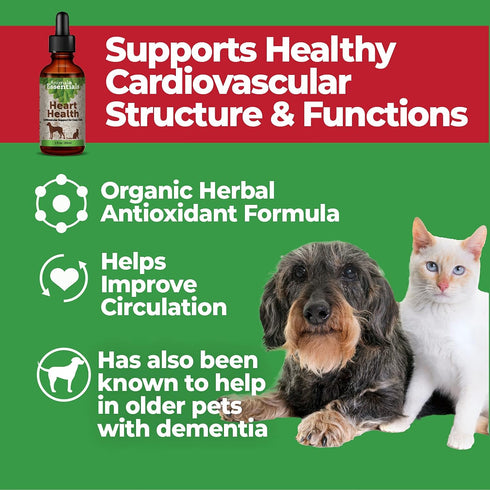 Animal Essentials Heart Health Supplement for Dogs & Cats - 2 Fl Oz, Organic Hawthorn Berry