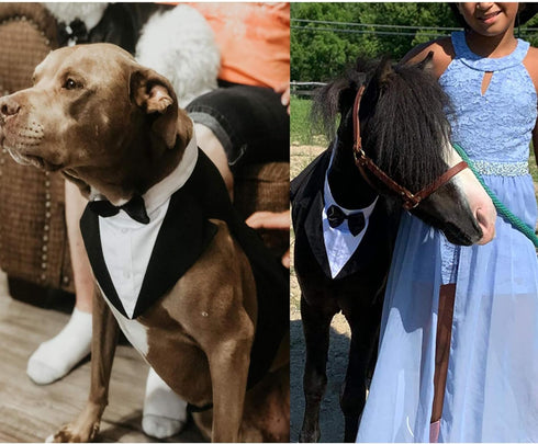 IDOMIK Dog Tuxedo for Small Medium Large Dogs, Detachable Formal Wedding Suit with Bow Ties & Bandana Set