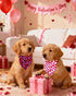 Kunovate 2 Pack, Valentine's Day Dog Bandanas Hearts Dog Bandana Reversible Triangle Bibs Scarf, Adjustable Bandanas