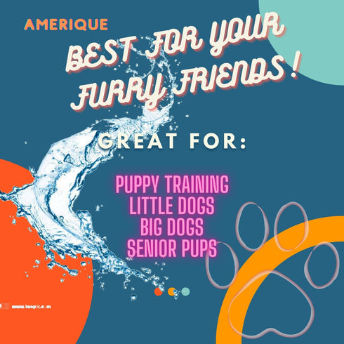 Dog and Puppy Pet Pee Training Pads - Odor-Eliminating Leak-Proof Quick-Dry Design, Super Absorbency, Pack of 100 (17.7