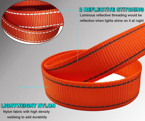 10FT Traffic Leash with 2 Handles, Reflective Dog Leash for Large Medium Dogs and Pullers