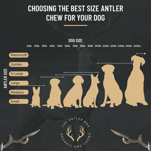 The Antler Box Premium Deer Antler Dog Chews (1 lb Bulk Pack) - X-Large (2 Antlers)