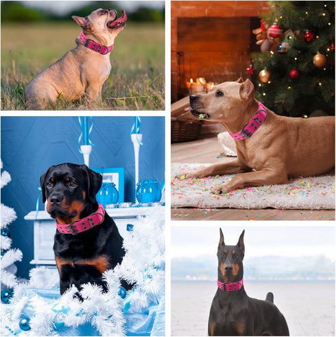 Reflective Tactical Dog Collar with Control Handle and Metal Buckle for Heavy Duty Dog Training (Large, Pink)