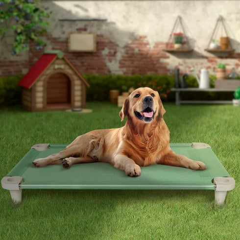 Acrimet Cooling Elevated Pet Dog Bed Cot, Washable Breathable Mesh Fabric, Stainless Steel Frame, Indoor & Outdoor,