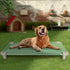 Acrimet Cooling Elevated Pet Dog Bed Cot, Washable Breathable Mesh Fabric, Stainless Steel Frame, Indoor & Outdoor,
