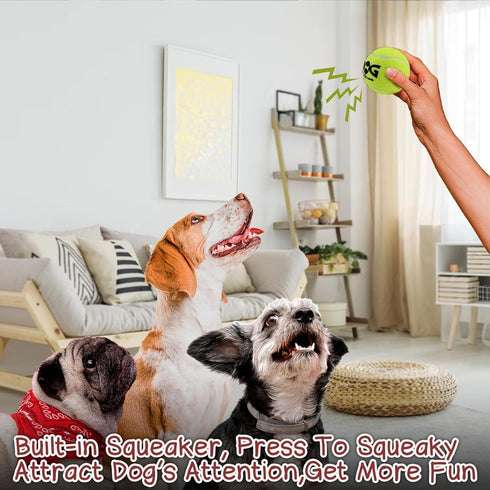 2.5'', 20Pack INSUM Squeaky Dog Balls - Squeaky Tennis Balls for Dogs, Multicolor | Medium