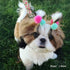 100pcs Small Pet Dog Hair Bows, Cute Round Puff Ball Pom Pom Bows with Rubber Bands for Dog Grooming
