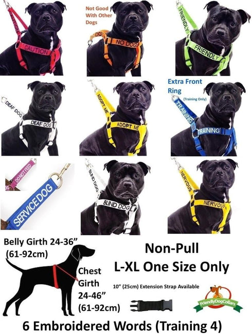 Nervous (Give Me Space) Yellow Colour Coded Dog Collars S-M L-XL to Prevent Accidents