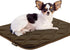 Paw Inspired Washable Padded Crate Mats for Dogs, 23" x 17" Pad, Fits 24-inch Kennels, Plush Pet Beds (Dark Brown)