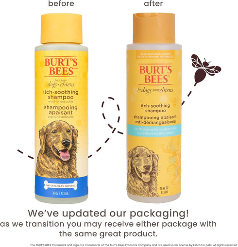Burt's Bees for Pets Itch Soothing Shampoo with Honeysuckle - Anti-Itch Dog Shampoo, 16 Ounces, Cruelty Free, USA Made
