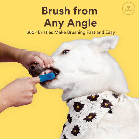 360 2-Pack Jasper Large Dog Toothbrush, Degree Pet Tooth Brushing Kit, Cat Toothbrush, Canine Dental Care & Teeth