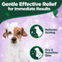 16 oz Vet's Best Hypo-Allergenic Shampoo for Dogs | Dog Shampoo for Sensitive Skin | Relieves Discomfort from Dry
