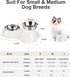 Double Dog Bowl Set, Two 6.9 fl oz Stainless Steel Bowls & Elevated Base, Ideal Feeding Solution for Small to Large Pets