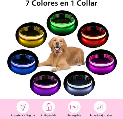 PcEoTllar Light Up Dog Collar for Night Walking, LED Rechargeable Color Changing, Waterproof for Large Medium Small Dogs