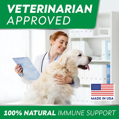 StrellaLab Dog Allergy Relief Chews, Anti Itch Support w/Omega 3, Skin & Coat Immune Supplement, 120Ct