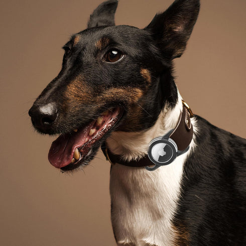 Waterproof Airtag Dog Collar Holder - Ultra-Durable Silicone & ABS Airtag Case for Dog & Cat Collars (Rose, Regular)