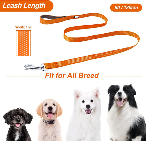 TwoEar 6FT Reflective Dog Leash, Comfortable Soft Padded Handle, Heavy Duty Nylon for Small Medium Large Dogs, Orange