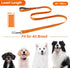 TwoEar 6FT Reflective Dog Leash, Comfortable Soft Padded Handle, Heavy Duty Nylon for Small Medium Large Dogs, Orange