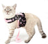 Zunea No Pull Small Dog Girl Harness Dress, Escape Proof Cat Kitten Vest Leash Set for Walking (Black S)