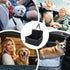 35lbs,Detachable 2 Dog Car Seat for Small Medium Dogs - Memory Foam Seat with Cushion for Pets Under & Machine Washable