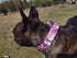Adjustable Martingale Dog Collar, Heavy Duty Nylon for Medium Large Dogs Walking Training (XL, Pink)