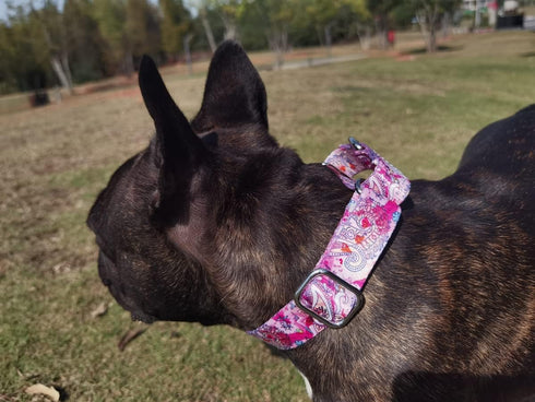 Heavy Duty Adjustable Nylon Martingale Dog Collar for Medium Large Dogs, Pink, for Walking Training (L:45-53CM)