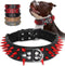 Beirui Heavy Duty Spiked Dog Collar, Stylish Leather Studded for Medium & Large Dogs (Red Rivets & Black Leather,