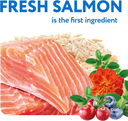 OPtimeal Sensitive Skin and Stomach Dog Food - Salmon & Brown Rice, Tasty Dry Recipe, Medium/Large Adult Dogs (8.8