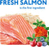 OPtimeal Sensitive Skin and Stomach Dog Food - Salmon & Brown Rice, Tasty Dry Recipe, Medium/Large Adult Dogs (8.8