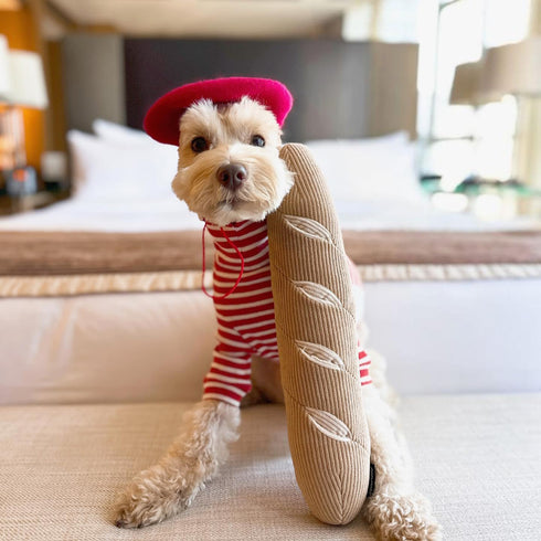 Interactive Dog Toys - Dog Puzzle Toy, Squeak Toys for Stress Release and Boredom for All Dog Sizes