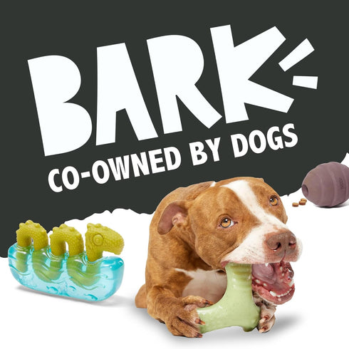 Barkbox Super Chewer Tough Dog Chew Toys for Aggressive Chewers, Dental Stimulating, Turkey - Small