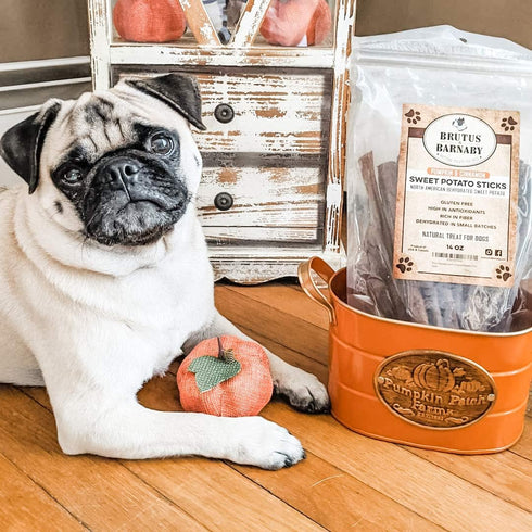 USA Sweet Potato Dog Treats - Grain Free, Cinnamon Pumpkin Crunchy Sticks Promote Positive Gut Health, No Preservatives