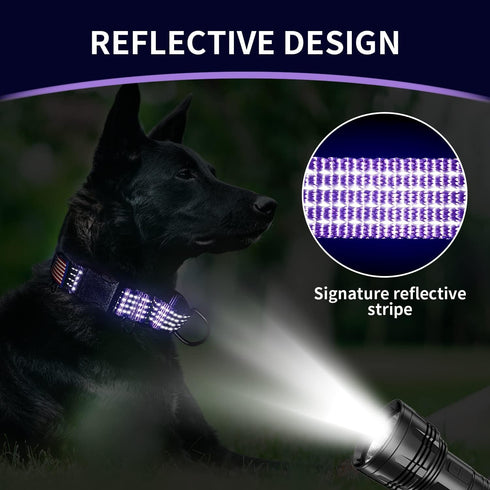 Martingale Collar for Training Dogs, Adjustable Reflective with USA Flag, NO Pull, for Medium Large XL Dogs, L, Purple