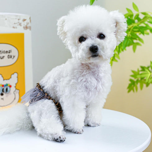 Generic Dog Diapers Female Washable Washable Reusable Female Dog Diapers for Small Medium Size for Dog Diapers