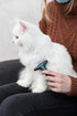 TRIXIE Pet Deshedding and Grooming Tool for Medium and Large Dogs, 4" x 6" (11x15cm)