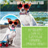 16 Pcs Dog Bow Ties - Summer Hawaiian Styles for Large Dogs - Collar Attachment Bows with Rubber Bands