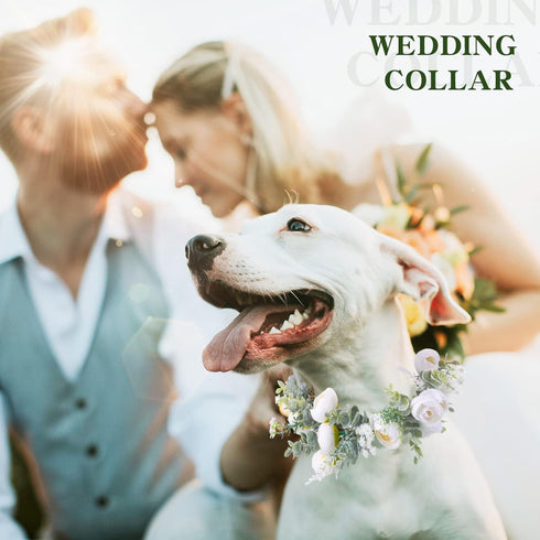 Dog Wedding Flower Collar Dog Wedding Attire Wreath Bow, for Weddings Flower Ring Pets Cats and Dog, Pet Photo Prop (White, Fresh, Medium)