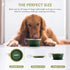 Collapsible Dog Bowl with Non Skid Suction Base, 100% Pure Silicone Foldable Water Bowl, 350mL