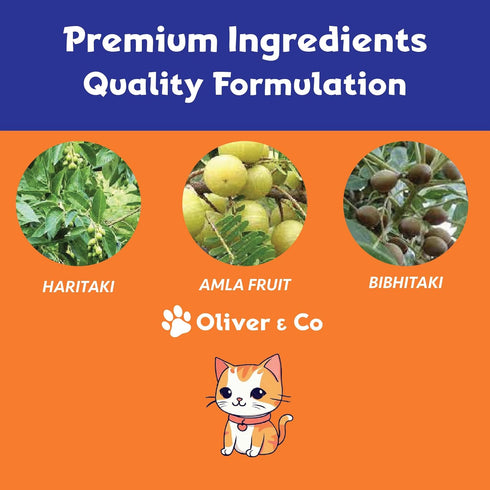 Oliver & Co. Cat Constipation Relief - Cat Laxative for Constipation Relief - 1 fl oz - Roast Chicken Flavor
