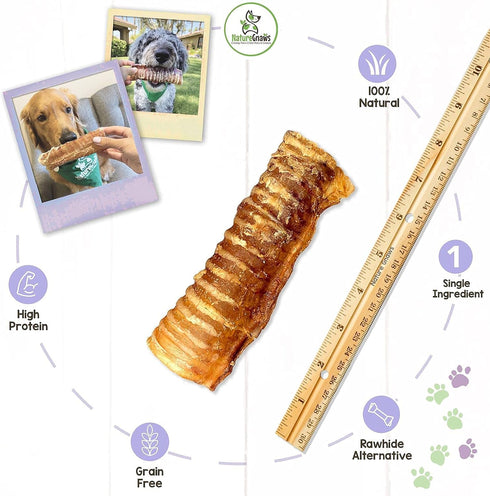Nature Gnaws Beef Trachea for Dogs - Premium Natural Beef Bones, Rawhide Free, 6 Count Crunchy Chew Treats