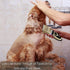Trimmer, Dogs Hair Dogs Shaver Clippers Grooming Kit - Low Noise Cordless Rechargeable Dog & Cat Horses Clippers, Heavy