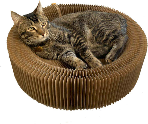 Collapsible Round Shape Cat Scratcher Lounge Bed for Big Cat