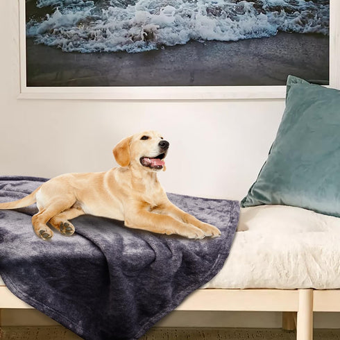 Onarway Dog Blanket Washable: 4 Packs Fluffy Soft Fleece Pet Blankets 40”x28” for Cat Puppy Dogs - Lake Green and Purple