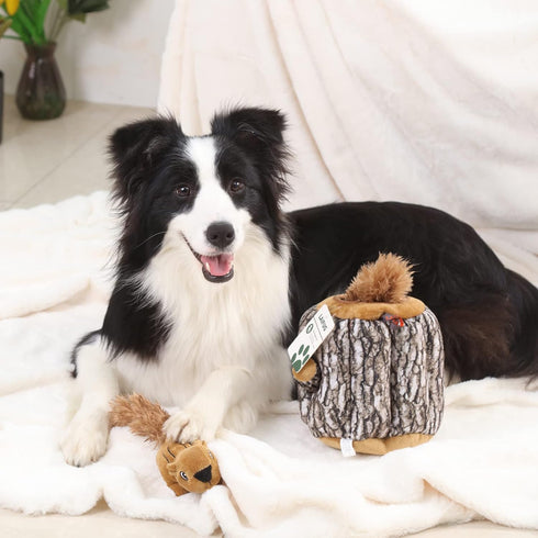 Laifug Hidden Squirrel Plush Dog Toy, Interactive Squeaky Hide and Seek Toy, Large