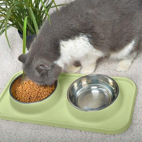 Cat Food Bowls with Non-Skid Silicone Pads, Removable Stainless Steel Dishes for Cats and Small Dogs