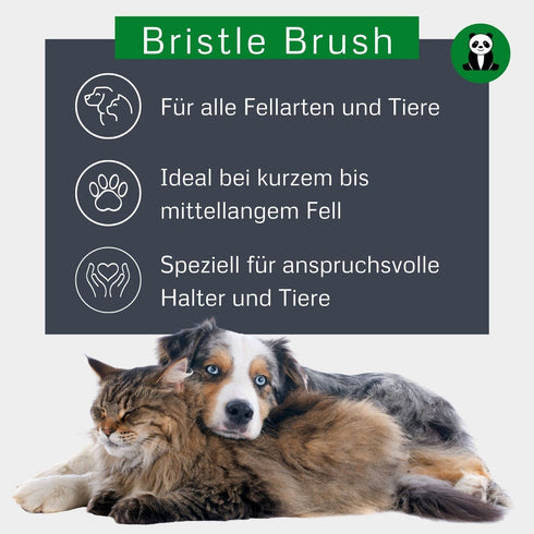 Bamboo Groom Oval Bristle Brush w/Natural Boar Small
