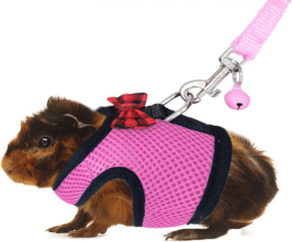 Rypet Soft Mesh Ferret Harness and Leash with Safe Bell, No Pull Comfort Padded Vest for Guinea Pig, Hamster, Rats and