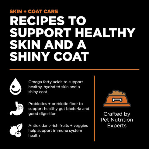 Go! Solutions Skin + Coat Care - Dry Dog Food - 12 lb - Salmon Recipe with Grains for All Life Stages