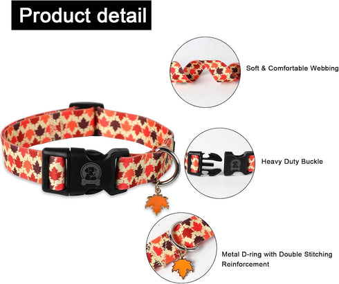MR. CHUBBYFACE Fall Dog Collar Adjustable Pet Collar Maple Leaves Collar for Small Medium Large Dogs